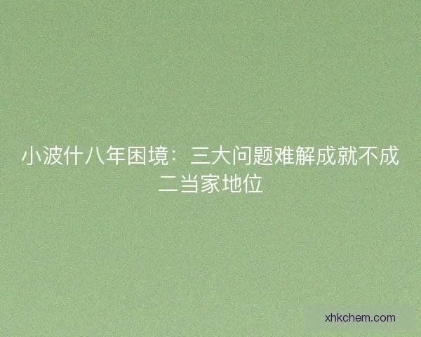 小波什八年困境:三大问题难解成就不成二当家地位 小波什八年困境:三大问题难解成就不成二当家地位