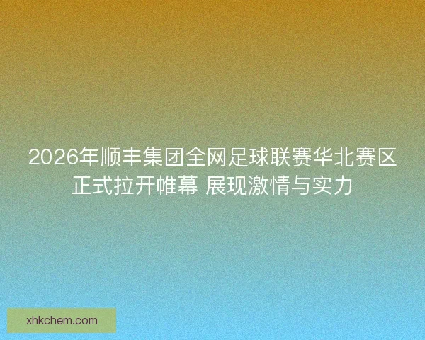 2026年顺丰集团全网足球联赛华北赛区正式拉开帷幕 展现激情与实力